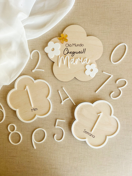 Conjunto de Placas Evolutivas — Flores
