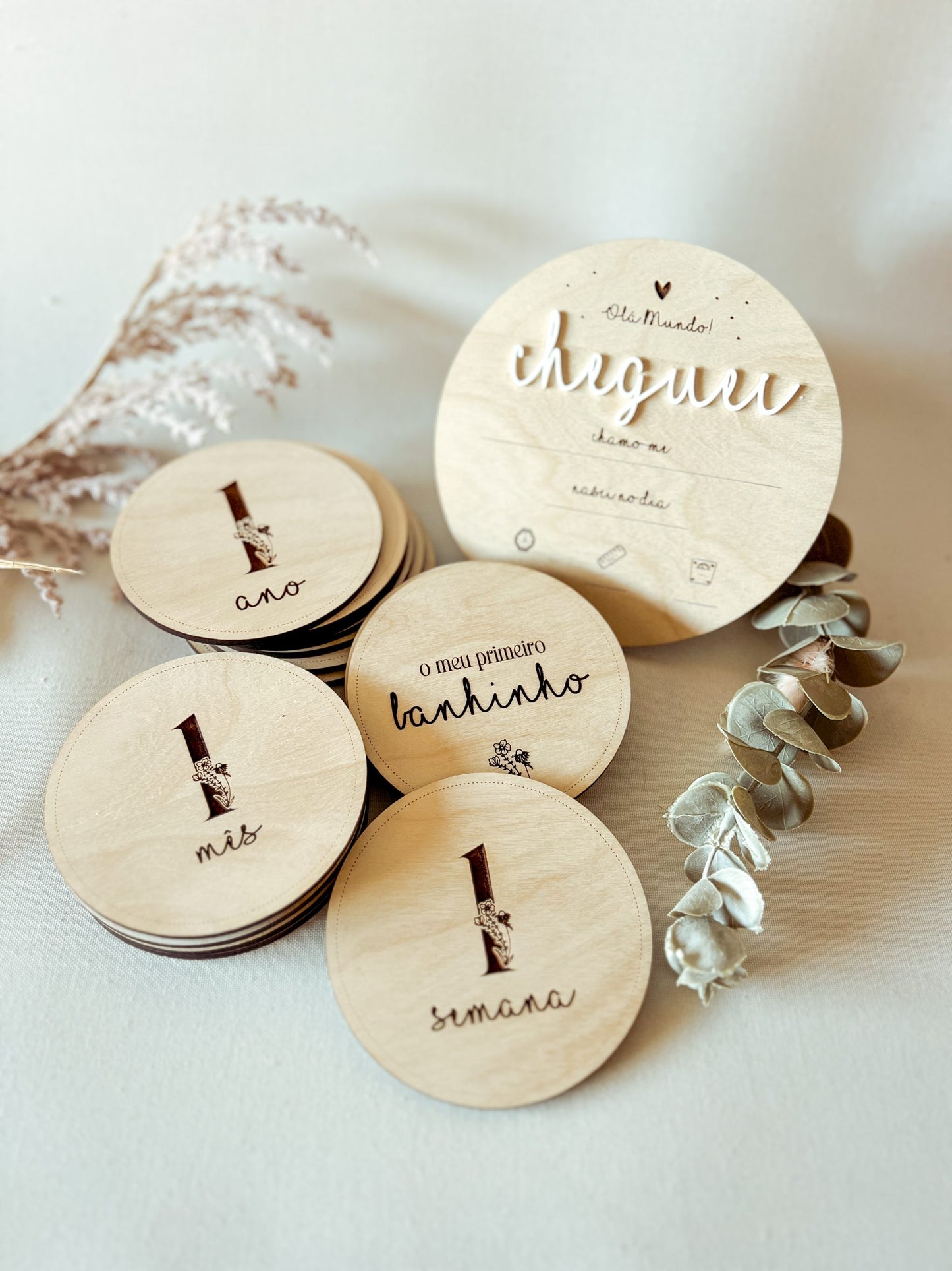 Conjunto de 15 Placas Evolutivas do Bebé em Bétula — Design Clássico