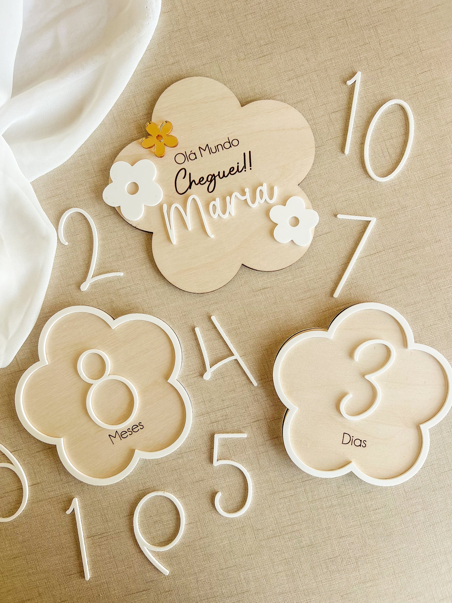 Conjunto de Placas Evolutivas —  Flores