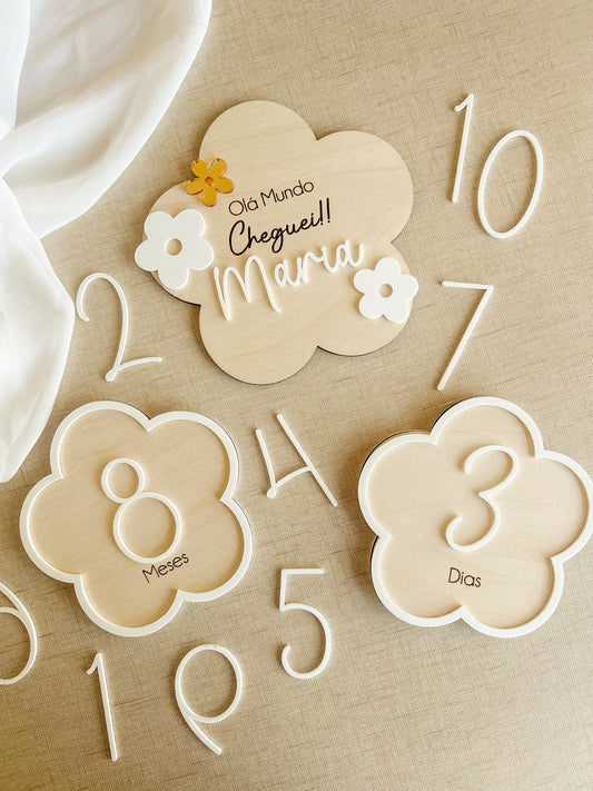 Conjunto de Placas Evolutivas —  Flores