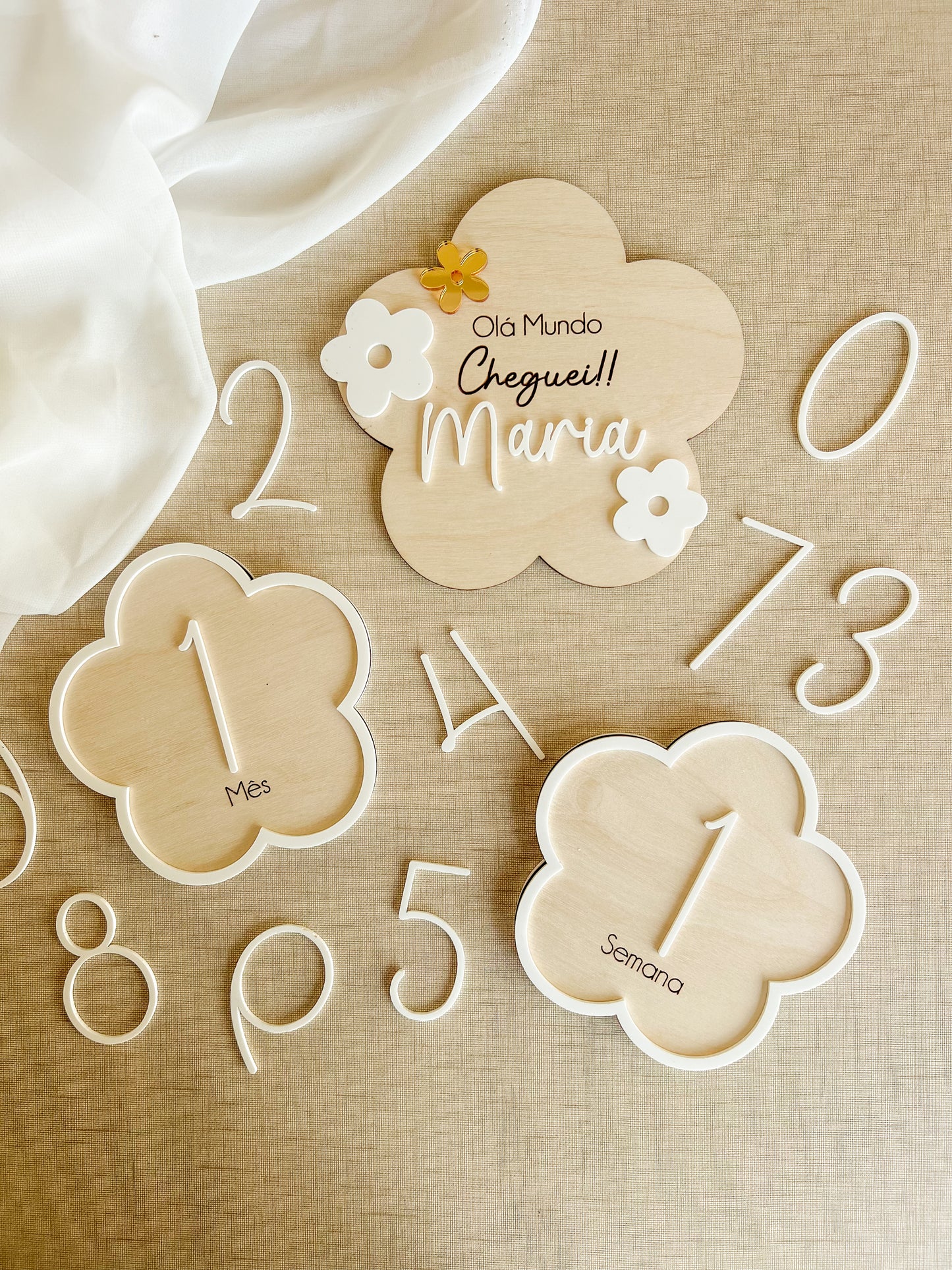 Conjunto de Placas Evolutivas —  Flores