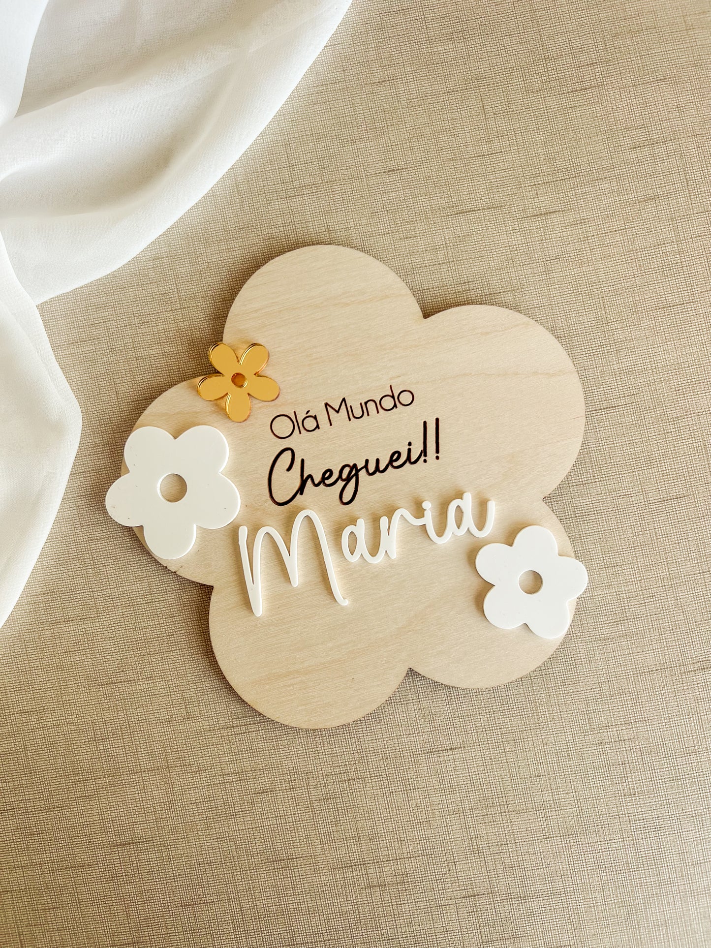 Conjunto de Placas Evolutivas —  Flores